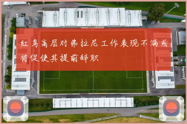 红鸟高层对弗拉尼工作表现不满或将促使其提前辞职